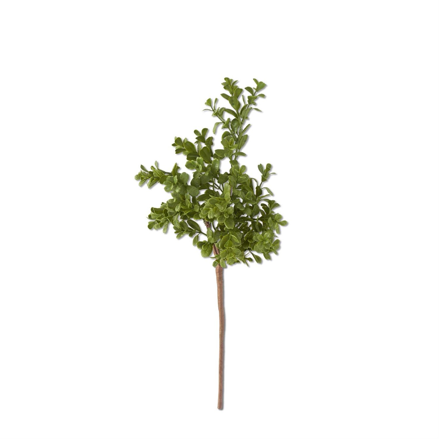18" Boxwood Pick