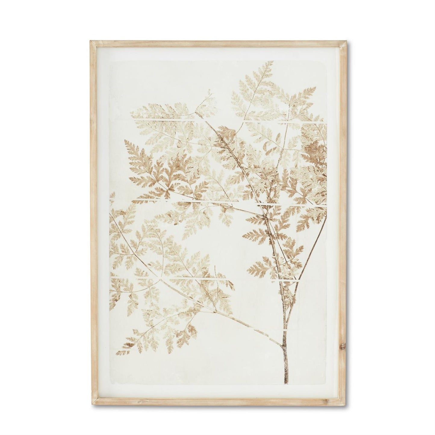 Wooden Framed Fern Prints