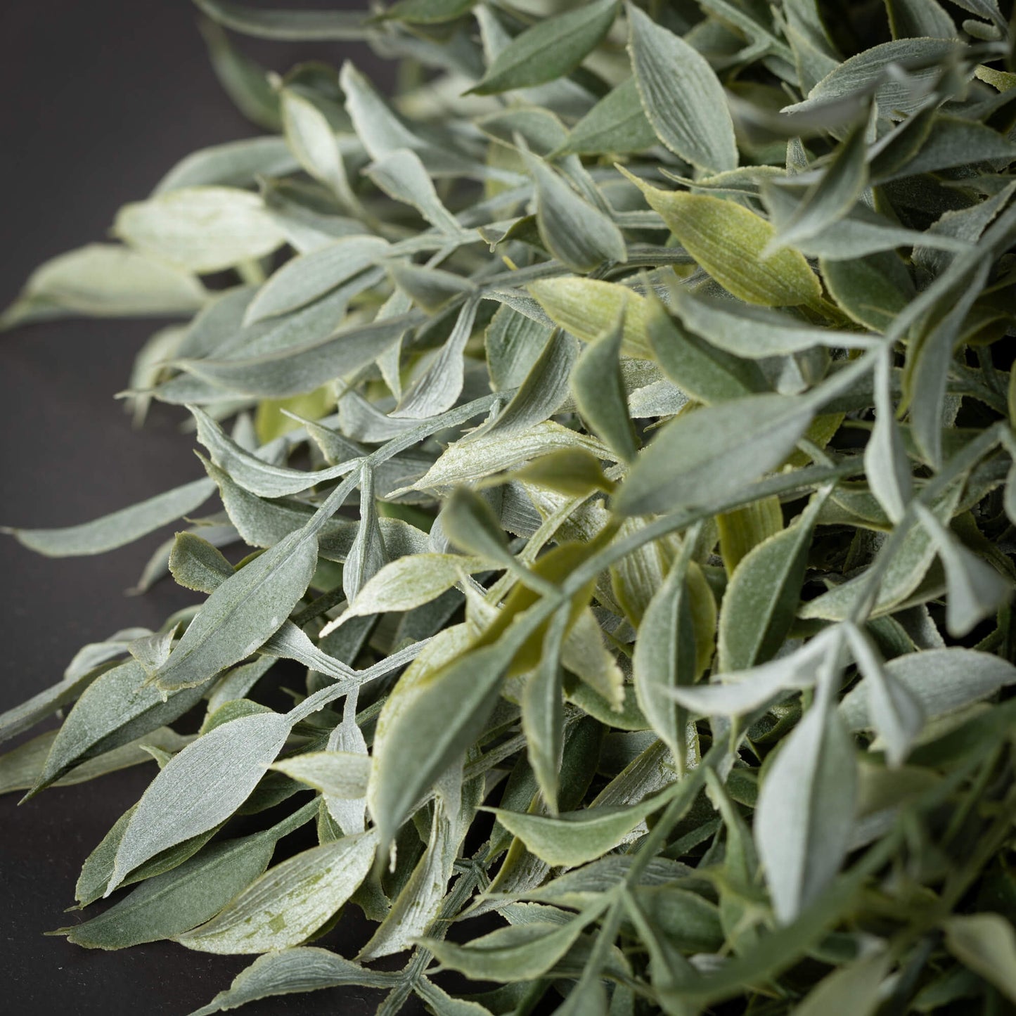 Ruscus Orb