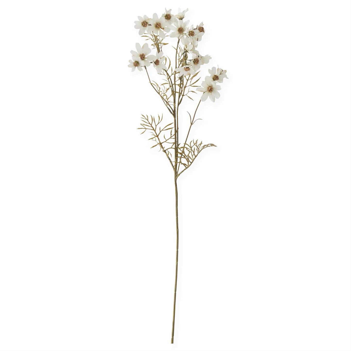 30" White Cosmo Stem