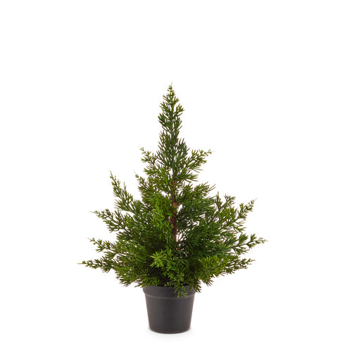 17" Potted Cedar Tree