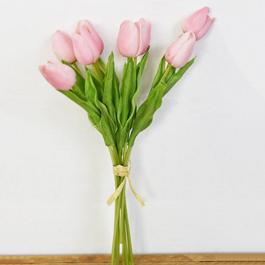 Pink Tulip Bunch