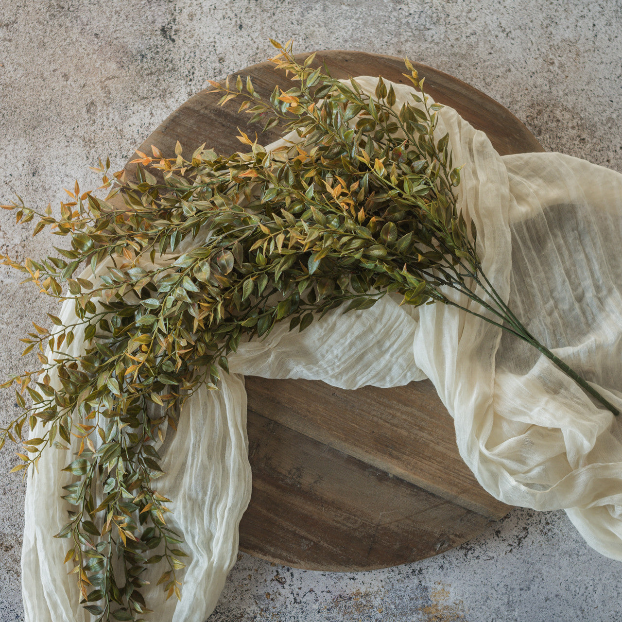 Harvest Fern Hanging Bush