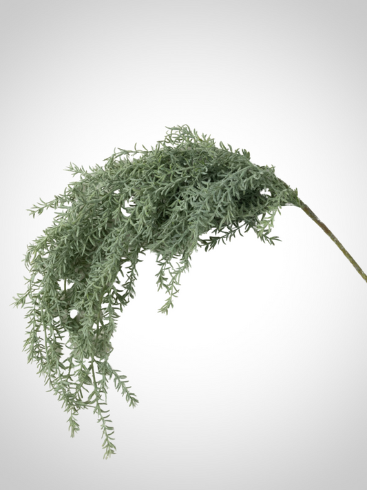 Feathery Rosemary Spray