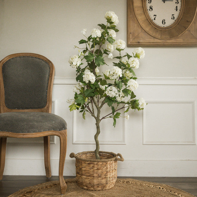 White Hydrangea Tree
