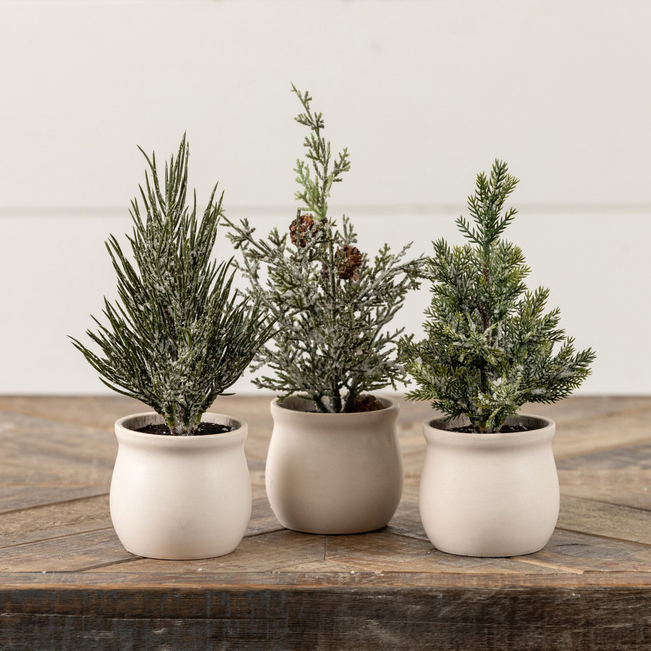 Mini Potted Frosted Trees