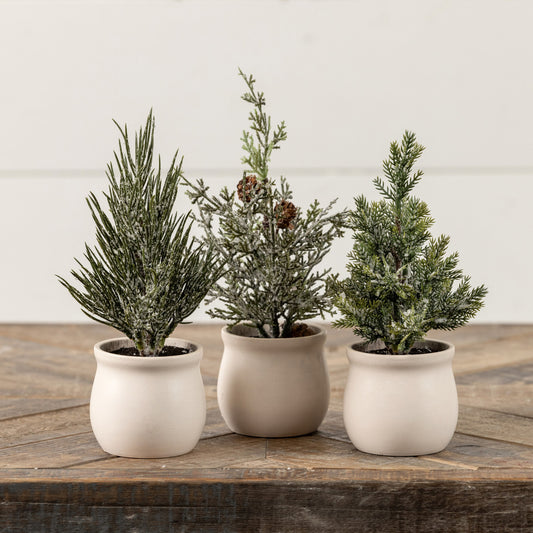 Mini Potted Frosted Trees