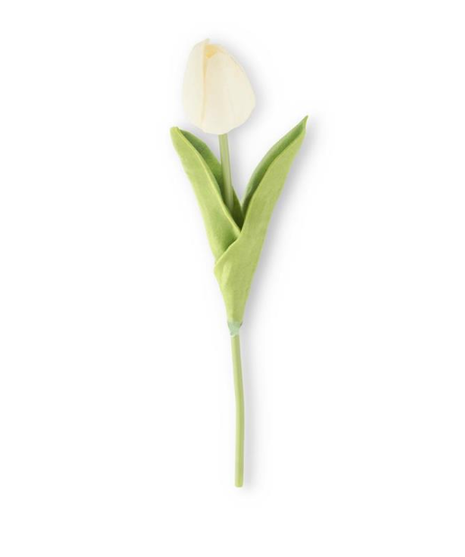 10.5" White Tulip Stem