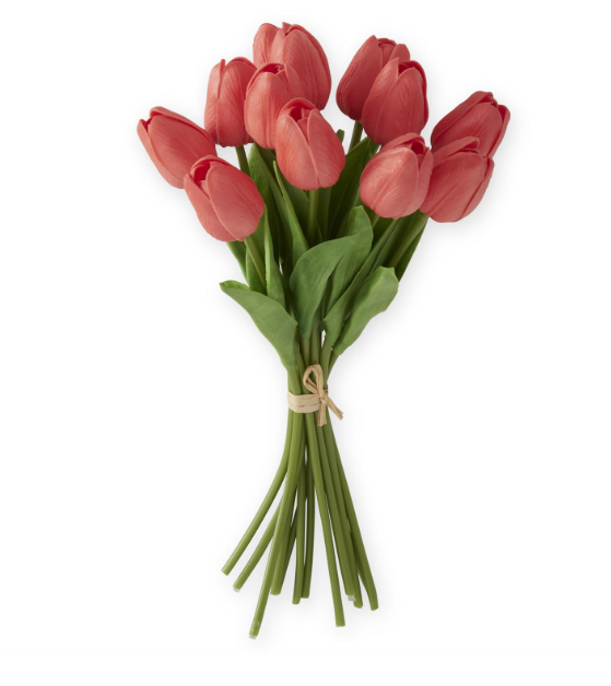 13" Coral Tulip Bundle