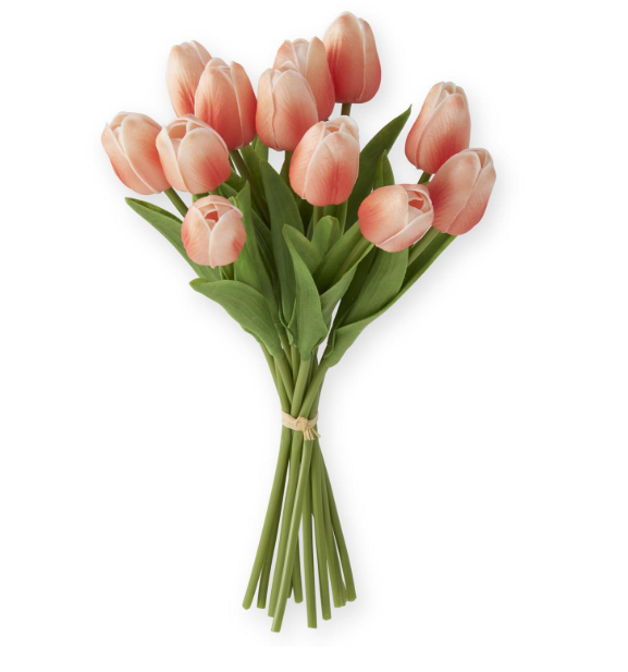13" Dark Peach Tulip Bundle