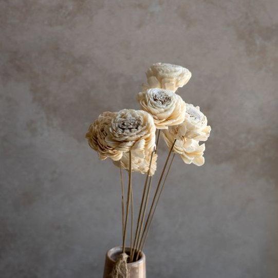 18" Dried White Dahlia Flower