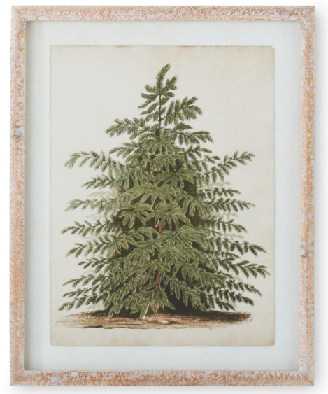 Framed Pine Tree Prints