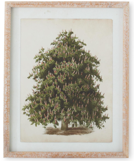 Framed Pine Tree Prints