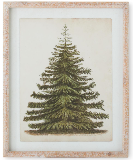 Framed Pine Tree Prints