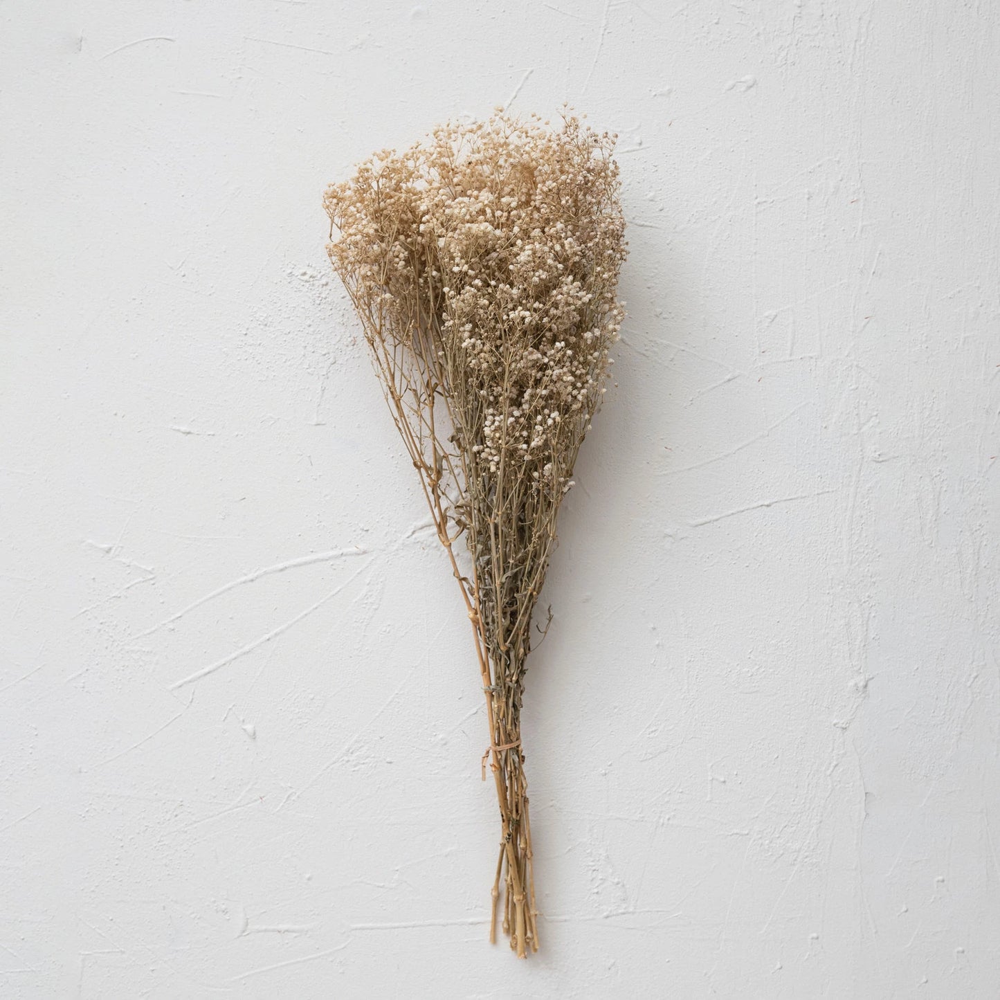 Dried Baby's Breath