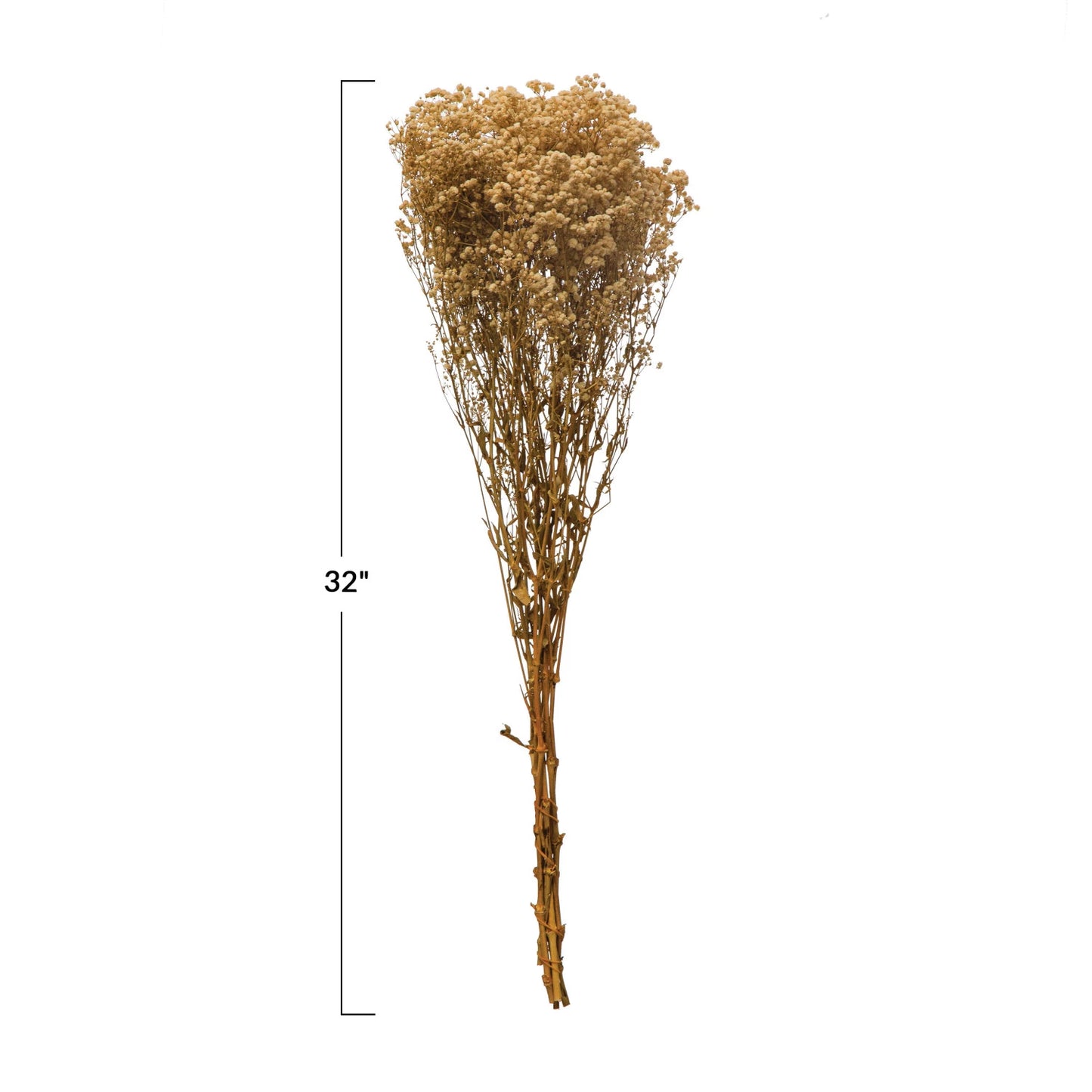 Dried Baby's Breath