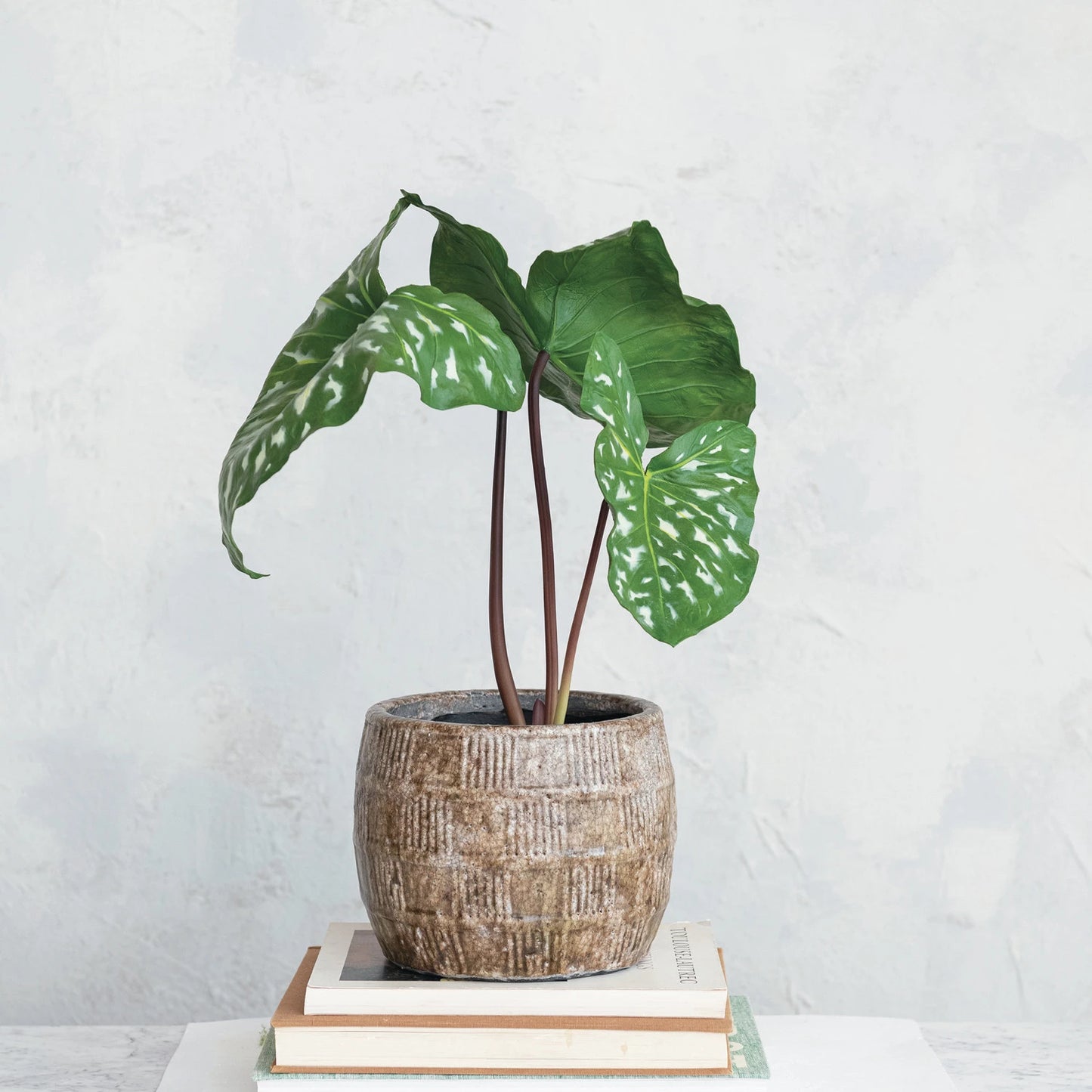 Embossed Terra-cotta Planter