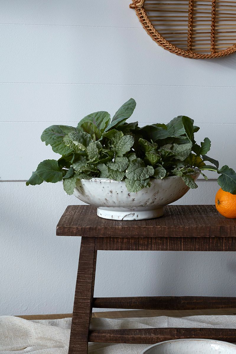 Divvy Bowl