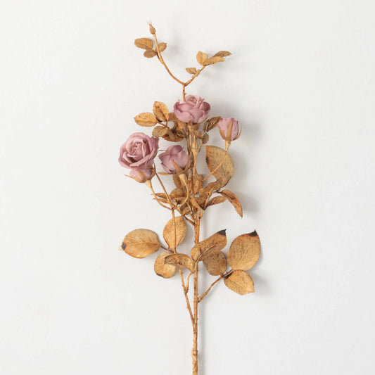 Pink Blooming Rose