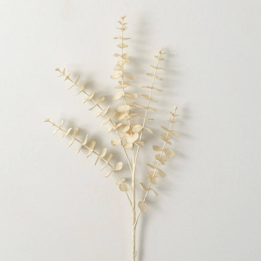 Cream Eucalyptus