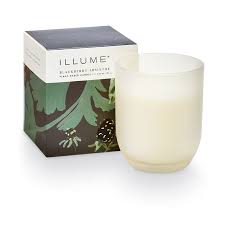 Blackberry Absinthe - Illume Candle