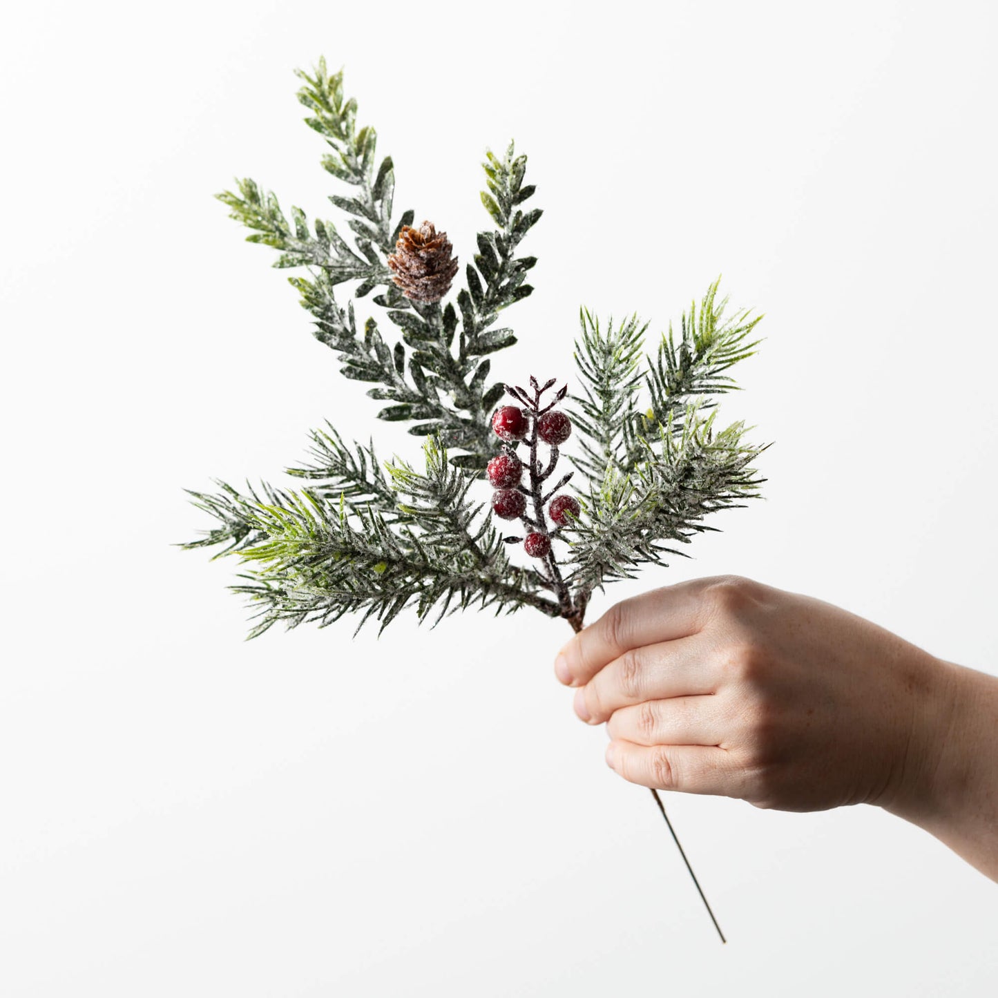 Pine Berry Pick