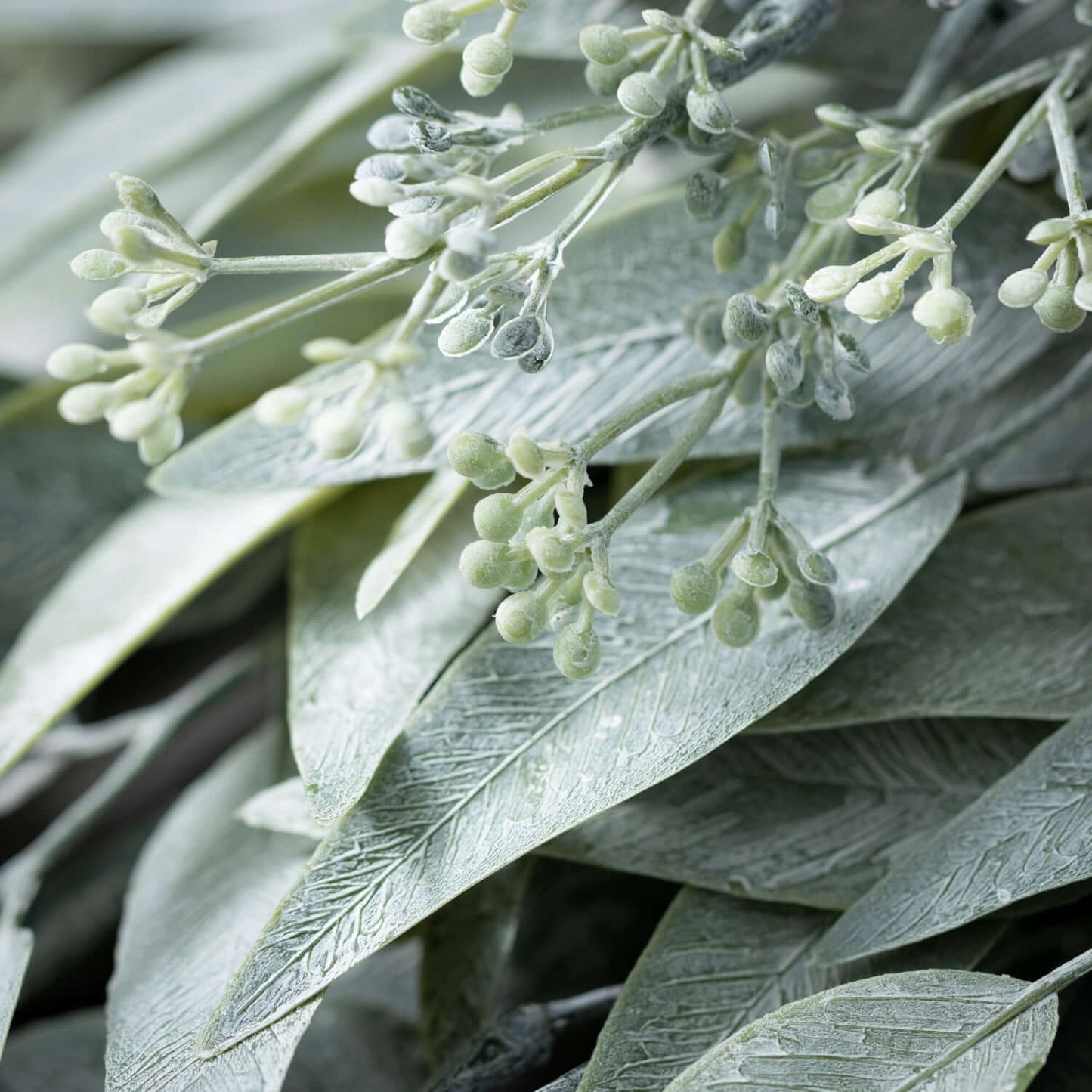 Dusty Green Eucalyptus Swag