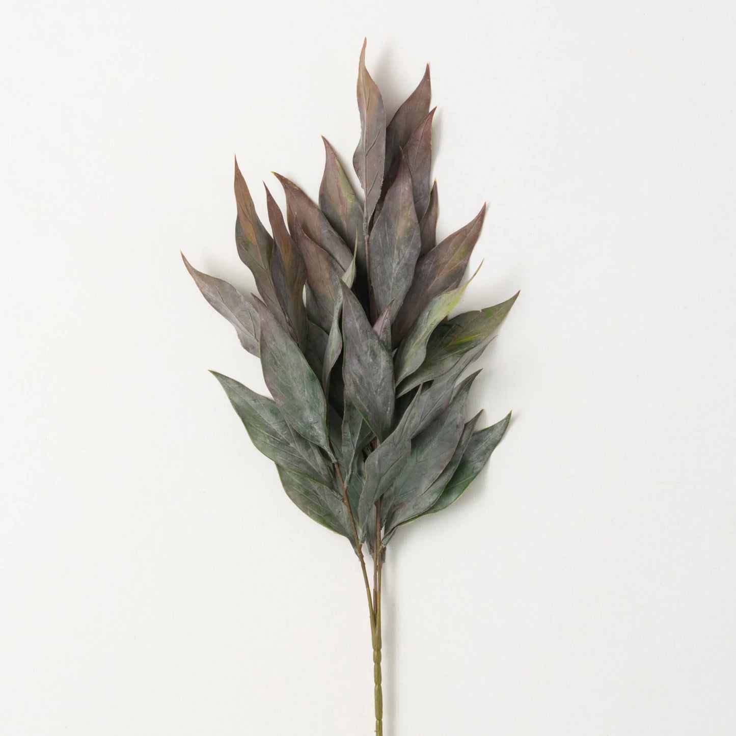 Purple Moody Foliage Stem