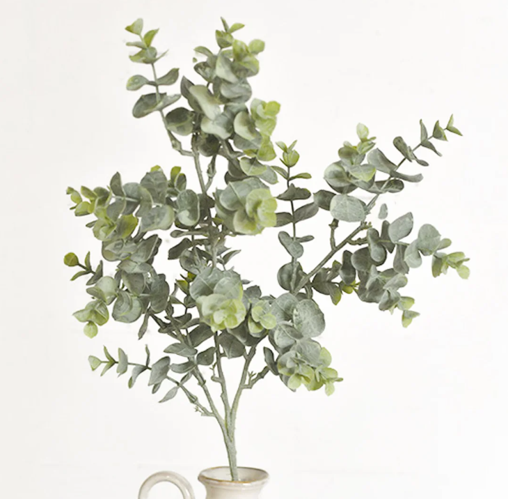 Eucalyptus Spray