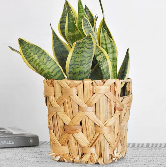 Water Hyacinth Basket