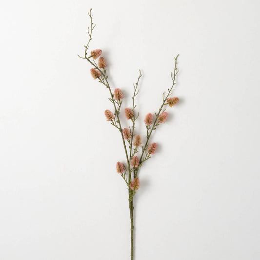 American Willow Branch