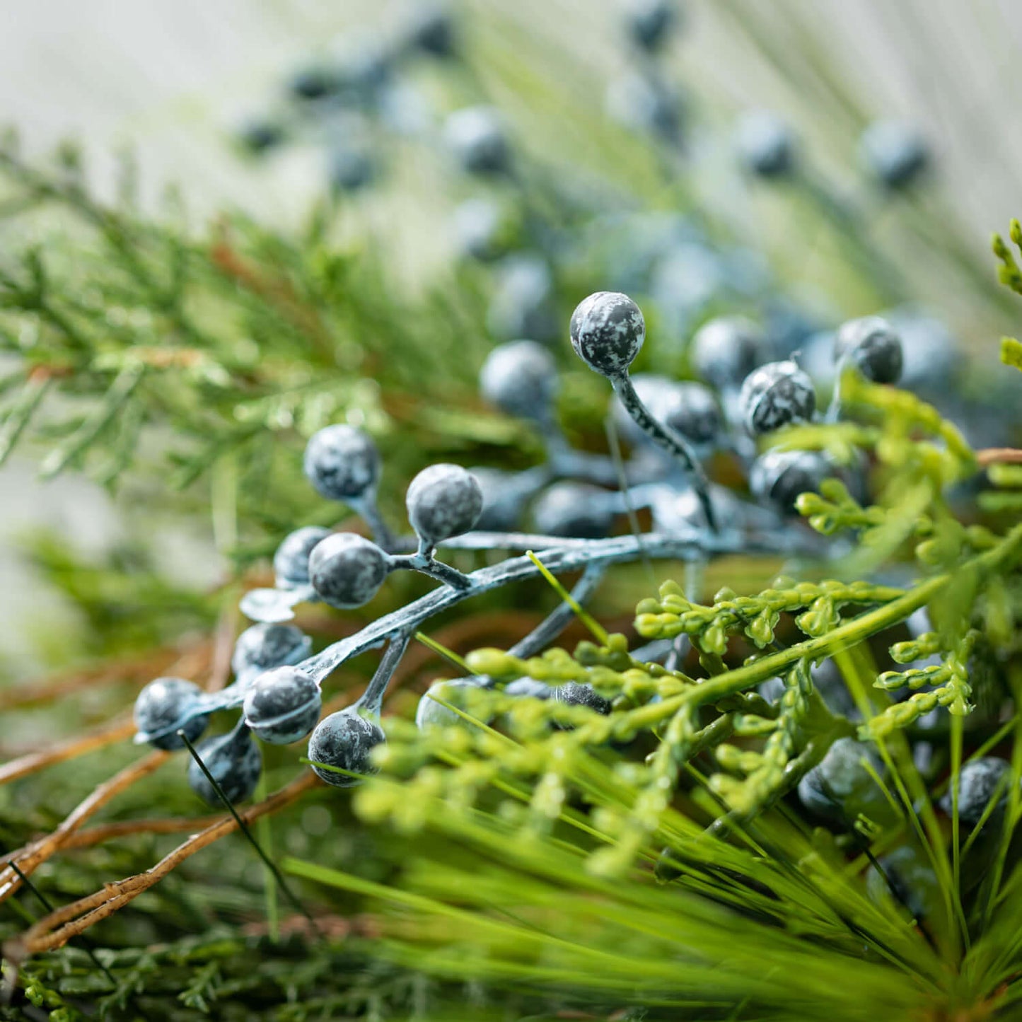 JUNIPER ORB