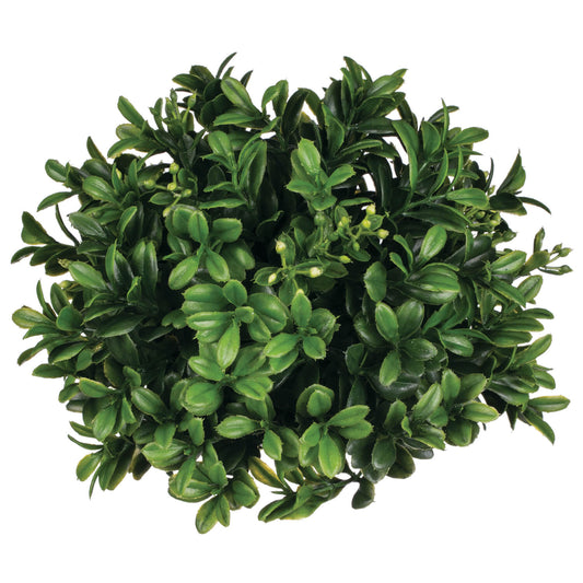 Boxwood Orb