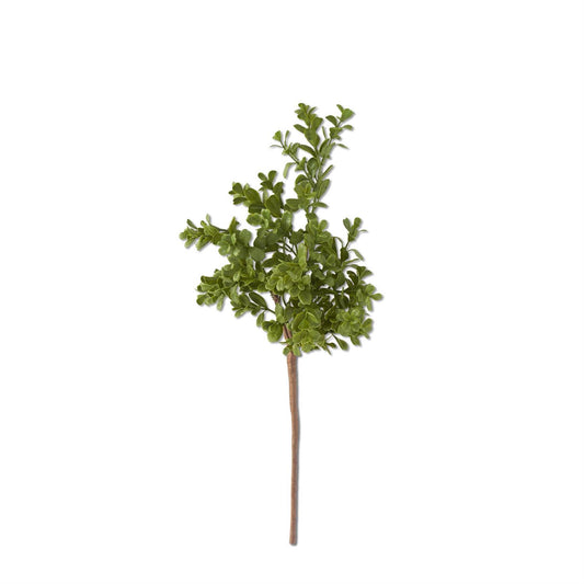 18" Boxwood Pick