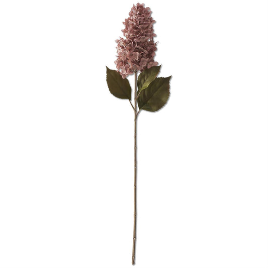 Light Purple Cone Hydrangea Stem