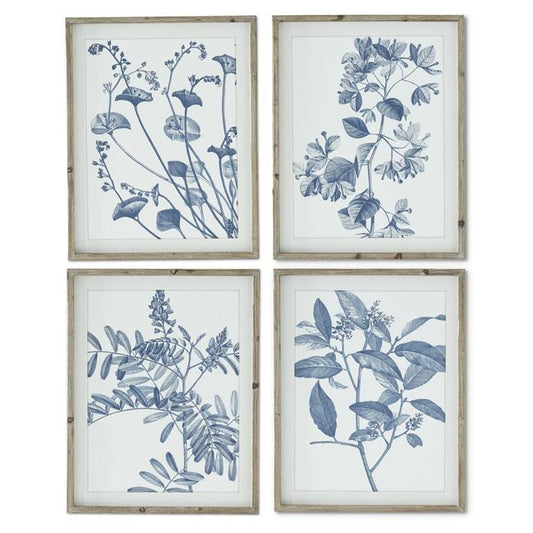 Framed Blue & White Botanical Print