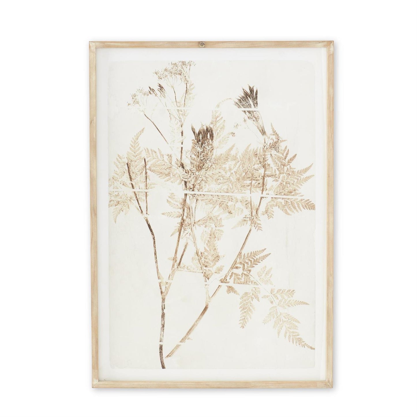 Wooden Framed Fern Prints