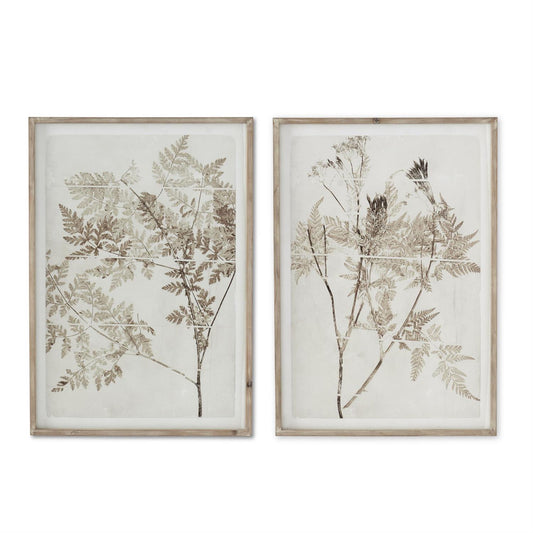 Wooden Framed Fern Prints