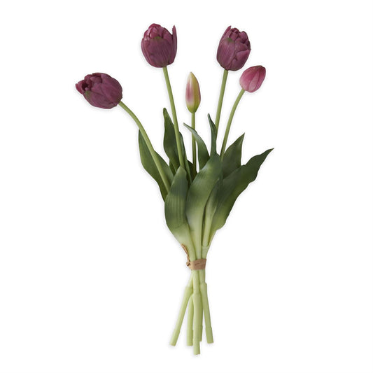 Plum Purple Tulip Bundle