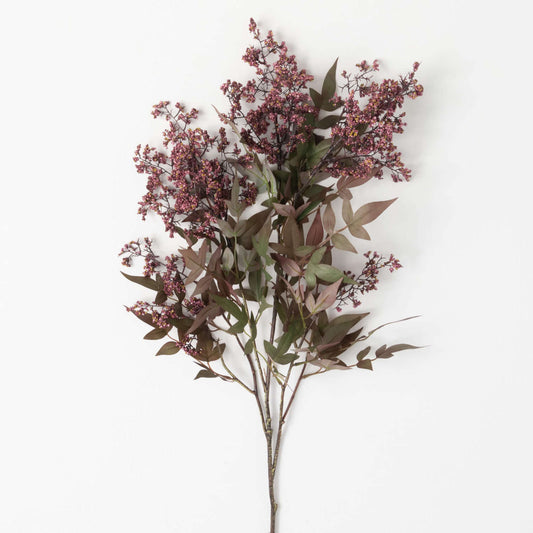 Dusty Plum Berry Bush