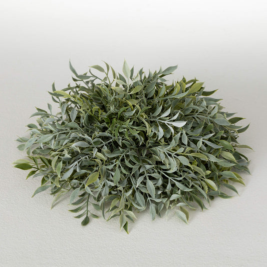 Ruscus Orb