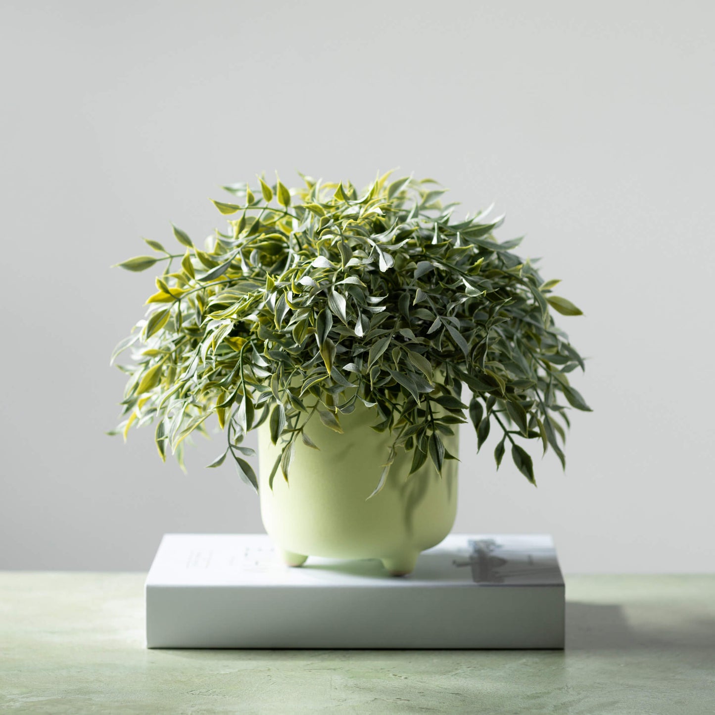 Ruscus Orb