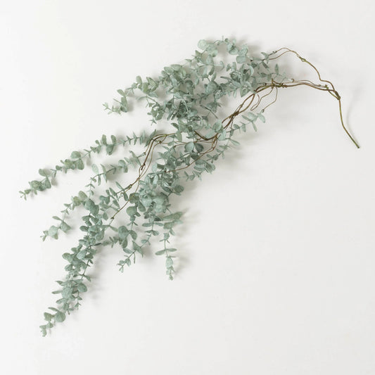 Eucalyptus Hanging Plant