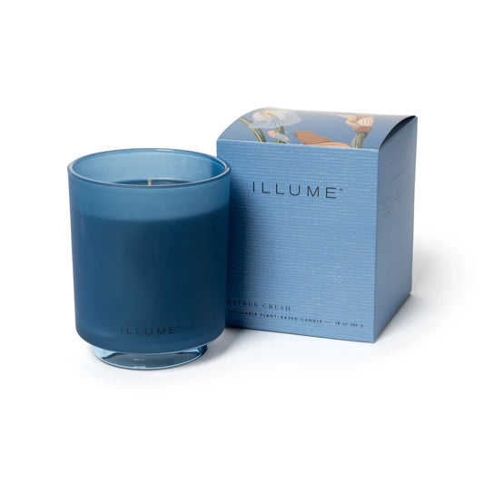 Citrus Cush - Illume Candle