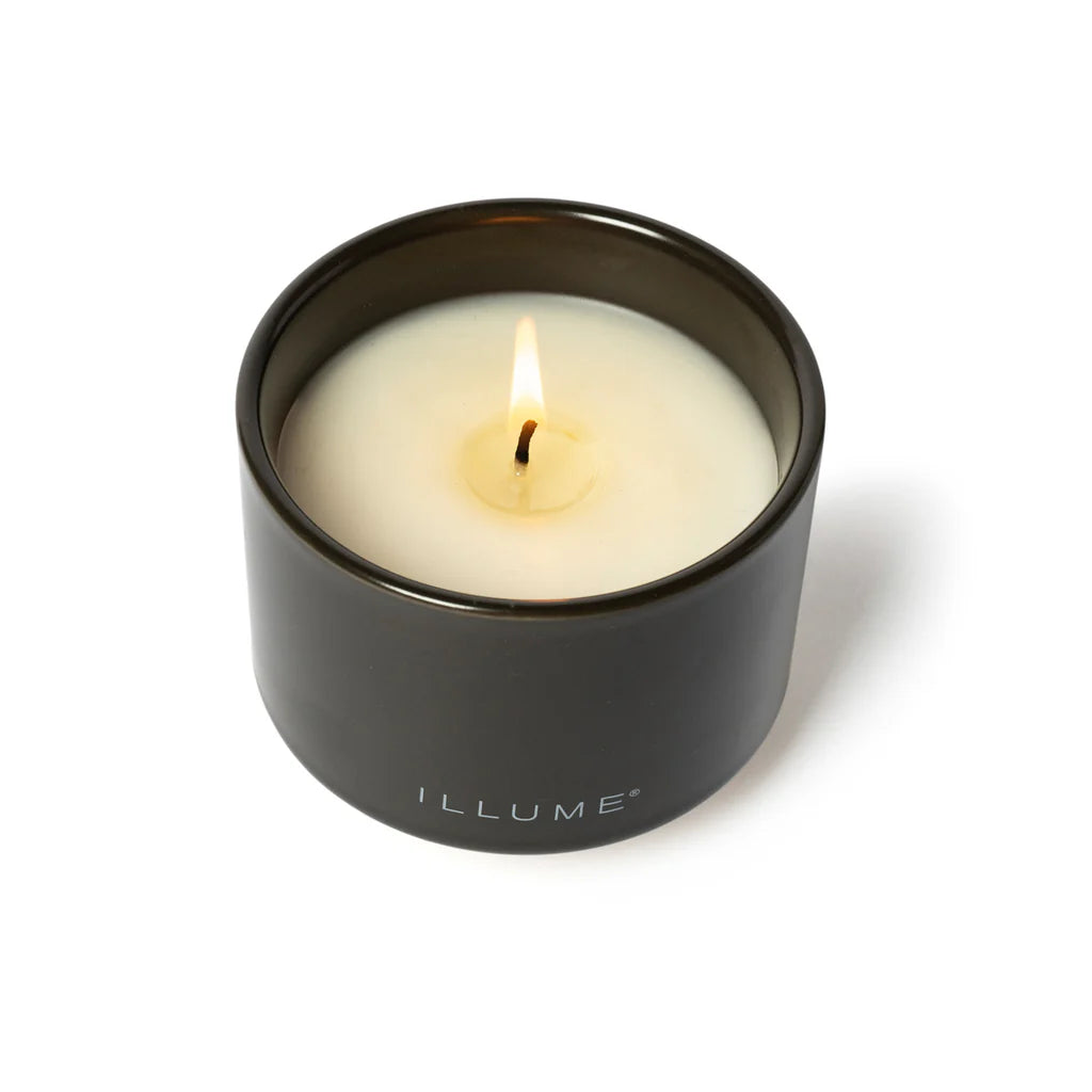 Blackberry Absinthe - Illume Candle