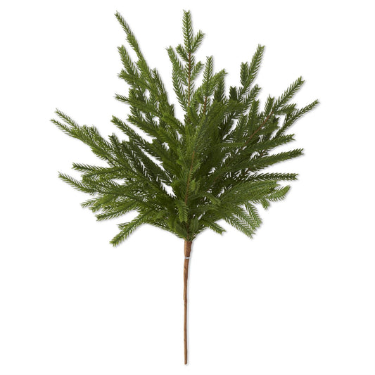 19" Norfolk Pine Stem