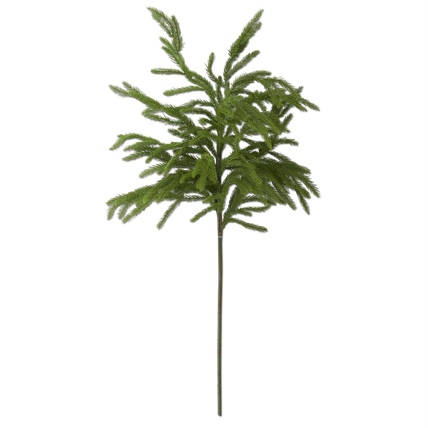 32" Norfolk Pine Branch