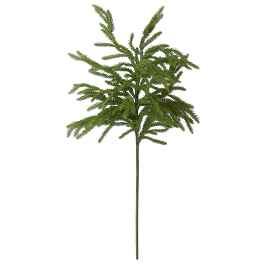 32" Norfolk Pine Branch