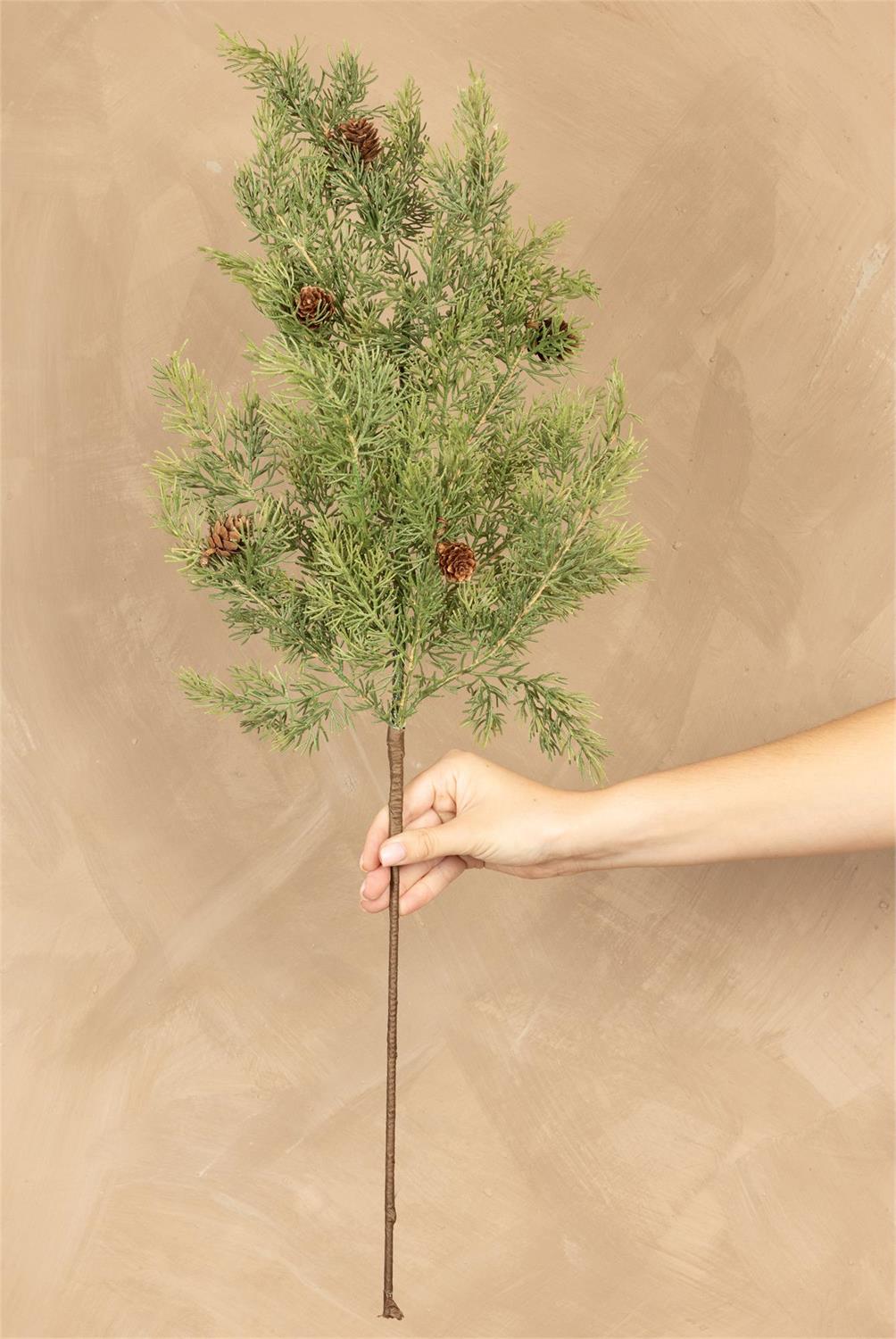 30" Cypress Pinecone Stem