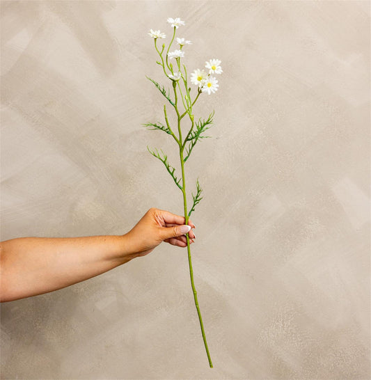 Hand holding a branch with white flowers against a beige background